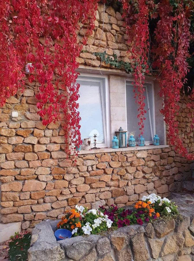 Best View Small House Free Parking Self Check-In Budapest Exterior foto